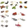 Animal Model Set Pvc Collectible Insect Bird Reptile Amphibian For Education And Display