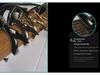 Shark Capo: Zinc Alloy Transposition Capo for Folk Guitar with Flannel Bag Packaging.