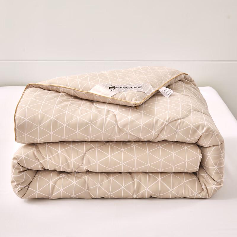 

Yilian Ultra-Soft Down Alternative Duvet