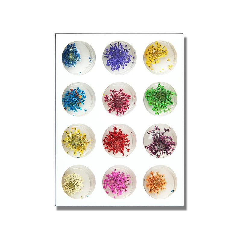 12-Color DIY Japanese Nail Art 3D Full Sky Star Design Natural Plant Inspired Dried Flower Nail Decoration French Style 5g
