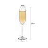 Champagne Glasses, Champagne Flutes with Classic Shape, Long Stem Sparkling Wine Glasses for Wedding
