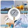 TS PGG604200bar 14BSP Y60 Radial Pressure Gauge for Household Pressure Measurement