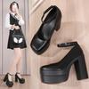 2026 Spring European & American High Chunky Heel Women's Platform Shoes - Waterproof Fashion Show & Banquet Style
