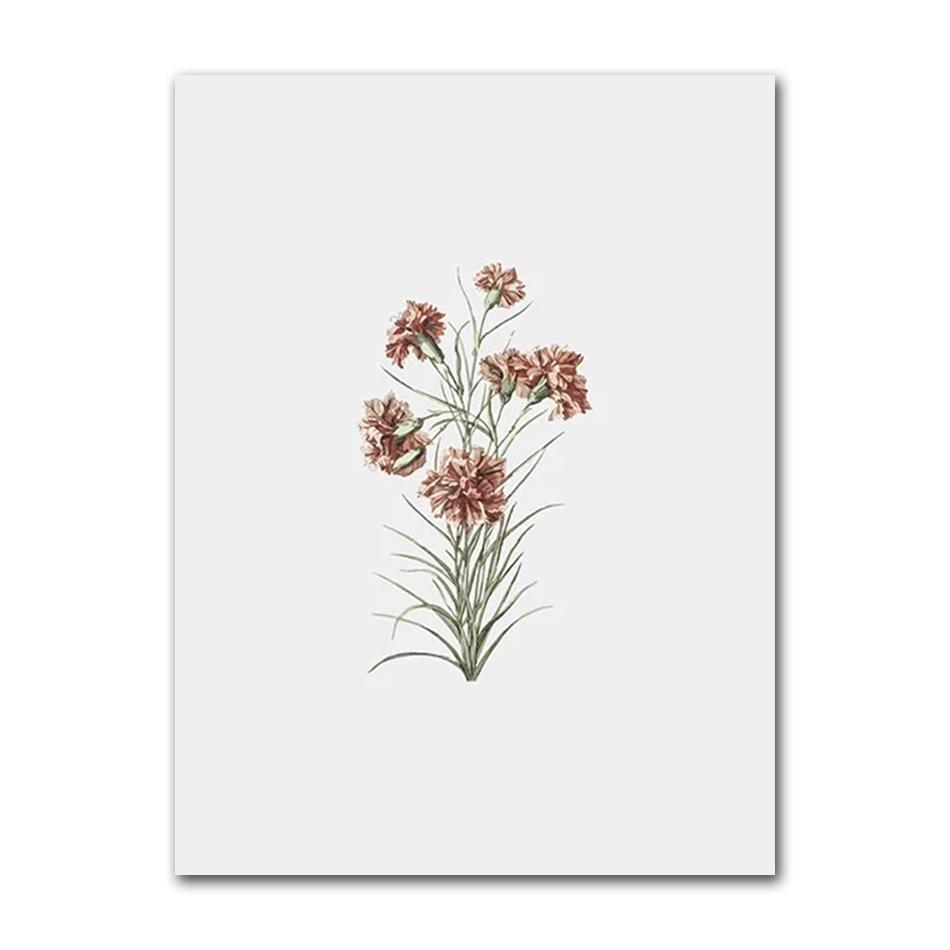 Vintage Wildpflanzen Poster Botanische Blumendrucke Leinwandmalerei Moderne Wandkunst Bilder für Wohnzimmer Dekoration