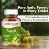 Baidyanath Ayurved Amlaki (Amla) 60 compresse (Confezione da 2) - Potenziatore Naturale della Salute per Capelli, Pelle, Salute Digestiva, Supporto al Metabolismo e