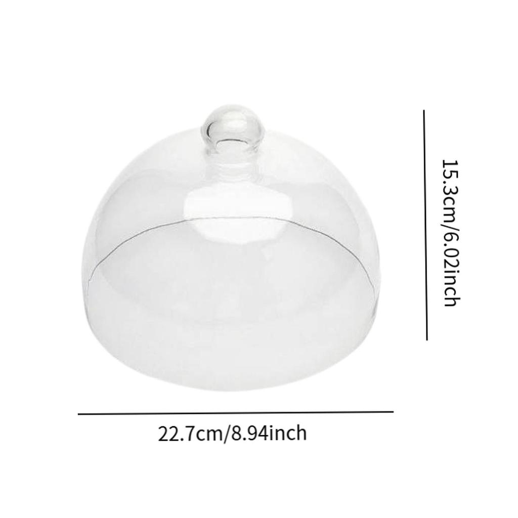 Cake Transparent Glass Stand Round Lid Plate Dessert Presentation Material Suitable for