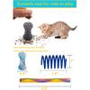Fashion's Talk 49PCS Cat Spring Toy for Kitten Catnip Bag Mesh Tubes Spring Cat Toy Bulk for Indoor Cats Kitty