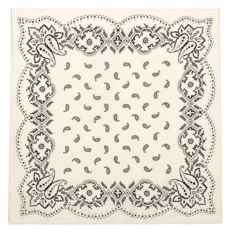 DOYOUKNOWMC ALL SEASON Paisley Print White Petite Scarf