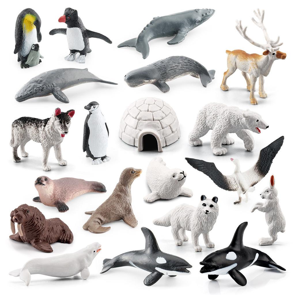 Arctic Animal Pvc Polar Bear Penguin Model Set With Realistic Wildlife Figures For Educational Display