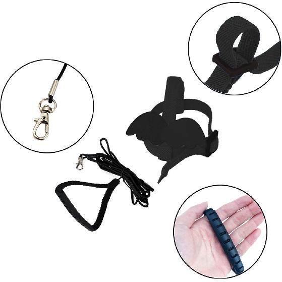 Dnoifne Smycz i Szelki dla Papugi Ptaka, Regulowany Design Treningowy Zapobiegający Gryzieniu, Ptasi Nylonowy Sznurek z Uroczy Skrzydłem dla Papug, Odpowiedni dla Szkarłatnej,