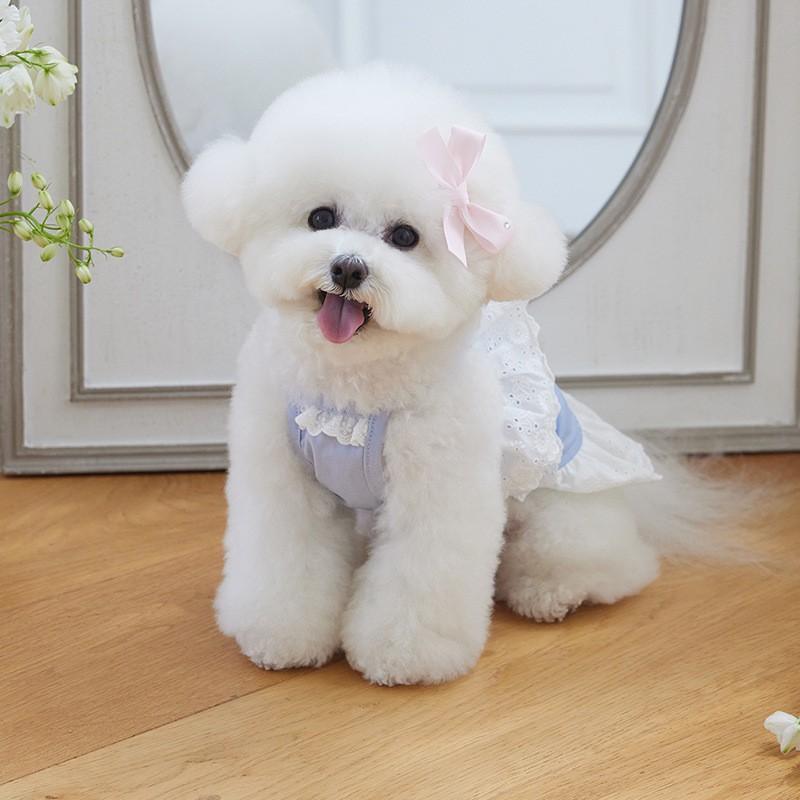 Pet Dog Cat Dress Lace Small Medium Dogs Clothes Teddy Bichon French Bulldog