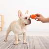 Play Tooth Cleaning Dog Throw Toys Pet Training Toy Dog Supplies Pet Accessories Dog Chew Toy