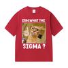Erm What The Sigma Funny Cute Meme Graphic T Shirt Unisex Unisex Fashion Oversized T Shirts Humor Style Short Sleeve Tops Tshirt