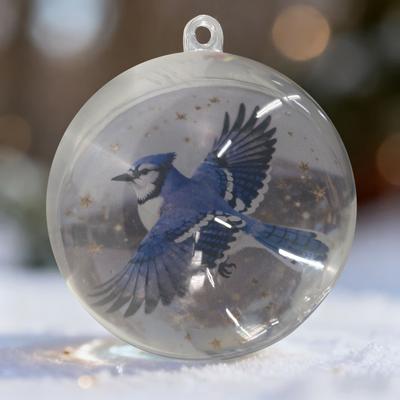 Nature's Birds Clear Christmas Balls Christmas Decoration Pendants Balls for Home Room Party Decor