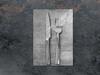 TAGLIERE IN VETRO 35x52 POSATE