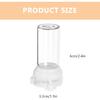 2 Pcs Transparent Ant Feeding Boxes for Indoor Use Ant Feeding Containers with Ant Ideal Ant Feeder Station