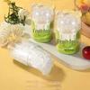 Chixing Disposable Transparent Fruit & Dessert Picks