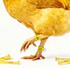Numbered Poultry Leg Bands for Chicken Duck Identification and Farm Management Durable Plastic Reusable Leg Rings