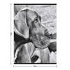 Blue Black Great Dane Throw Blanket For Baby Sofa Quilt Winter Beds Beautifuls Blankets
