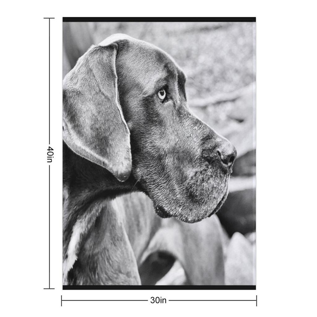 Blue Black Great Dane Throw Blanket For Baby Sofa Quilt Winter Beds Beautifuls Blankets