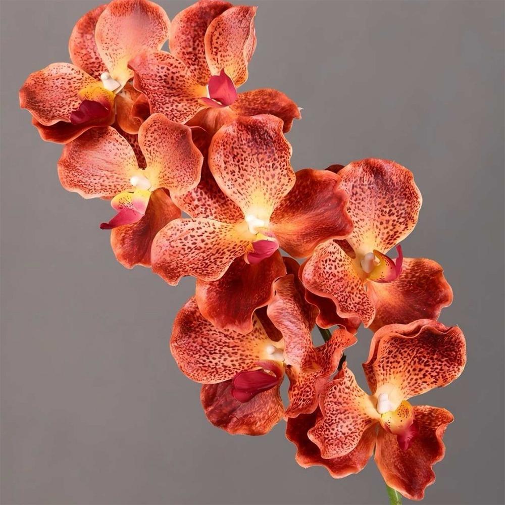 Plastic Phalaenopsis Branch Moisturizing Real Touch Orchids Simulation Flower  Office Decor