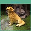 Resin Sitting Golden Retriever Animal Figurine Garden Decor Gift For Housewarming And Parties