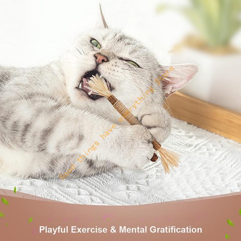 Natural Catnips Toy Teeth Clean Dental Care Teaser Toy Treats 3pcs 55KF