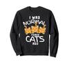 I Was My Three Previous Perfect Tabby Trainers Funny, Normal, Cats, Kittens, Kittens,