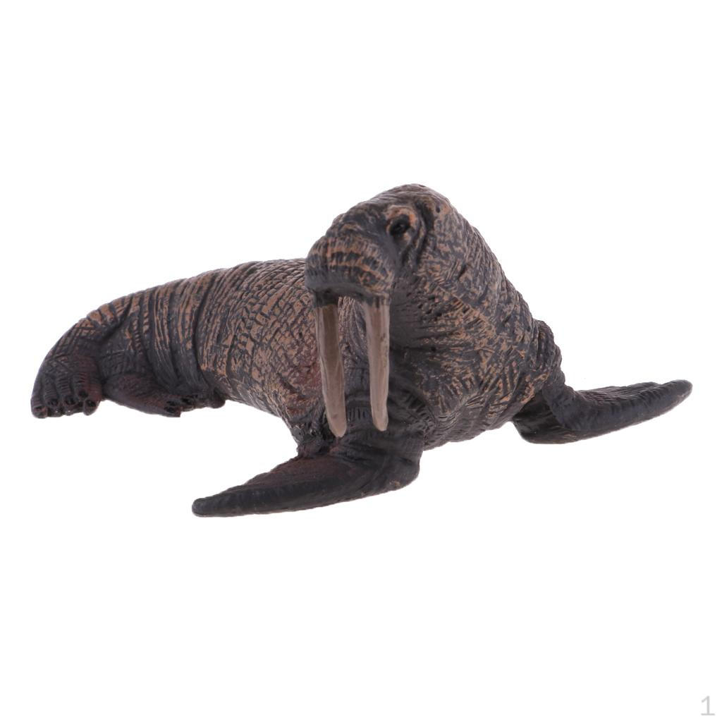 Plastic Solid Marine Animal Model Walrus Ornaments Toy