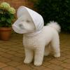 Dog Anti-Bite Head Cover - Mosquito & Insect Protection, Available in Two Colors