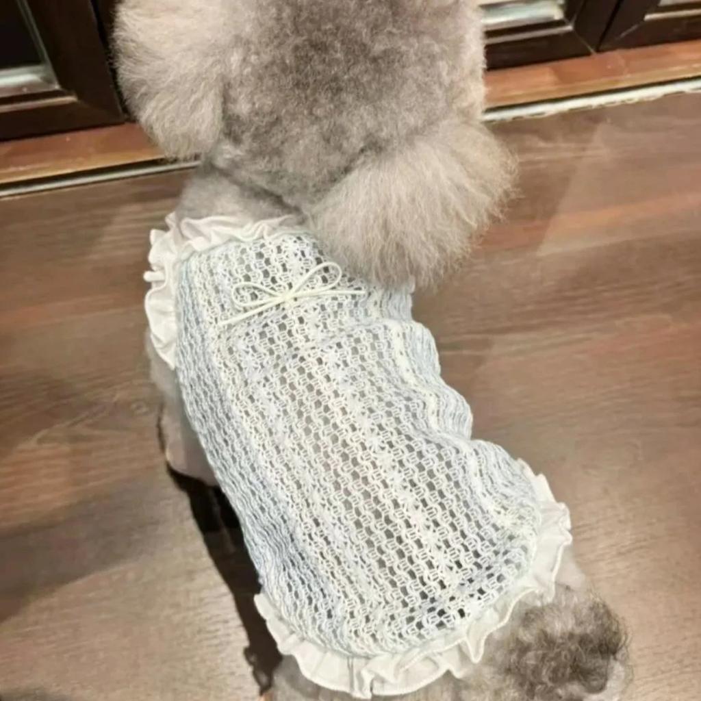Dog Vest Mesh Dog Clothes for Small Dog Sleeveless Summer Cat Clothes Cooling Puppy Summer Clothes for Cat Pet Chihuahua Teddy