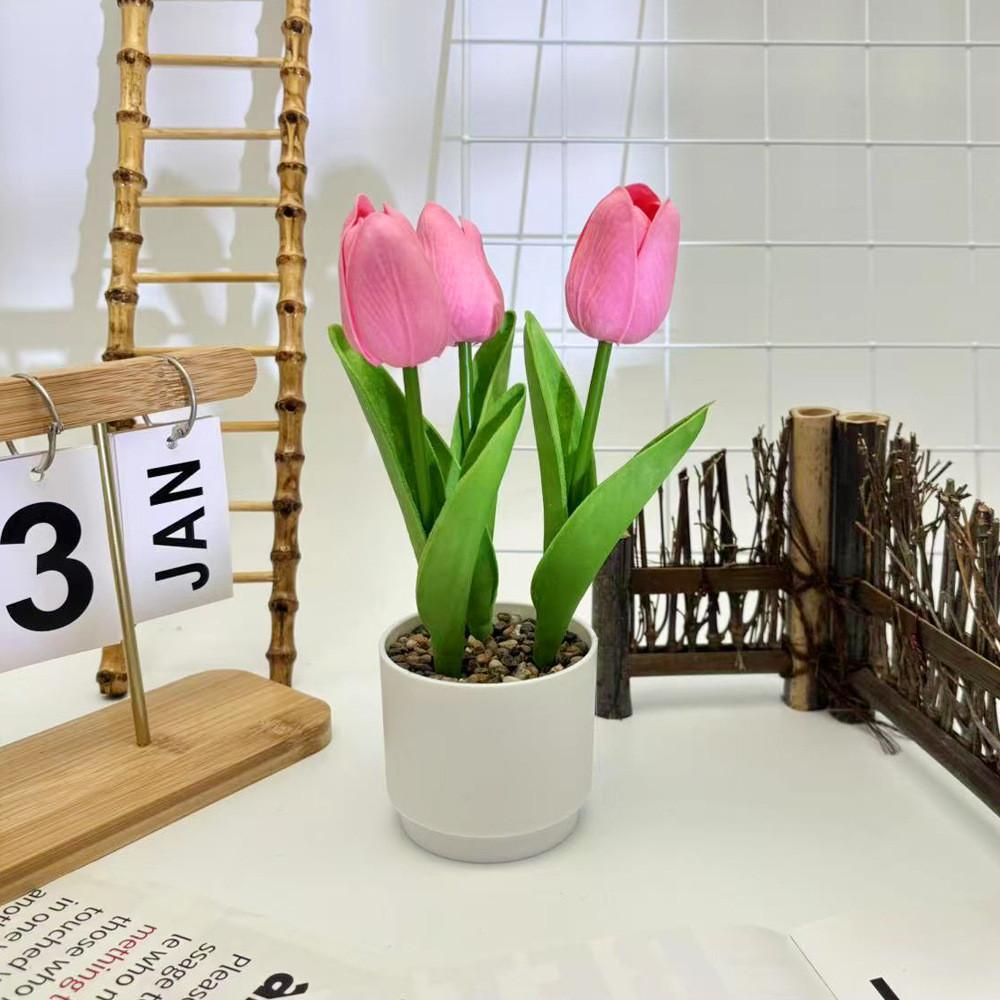 Tulpenblume Grüne Pflanze Flusssteine Bonsai Für Fotografie Und Bürodeko