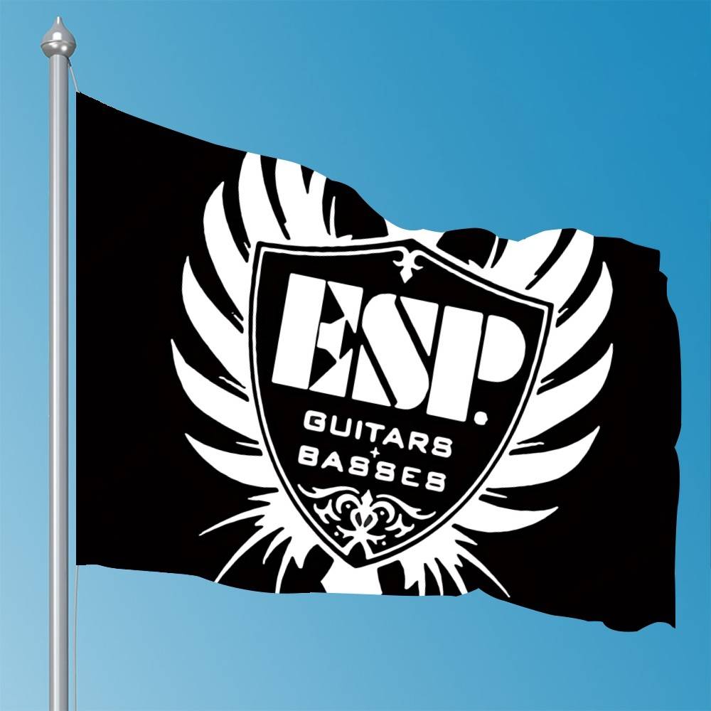 

eEspFlags Room Decor Outdoor Decors Personalized Items Flags For Bedrooms Home Funny 74x94cm(29x37in)