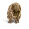 Capybara Plush Animal Stuffed Capybara Tobar Animigos Toy, Animal, Doll,