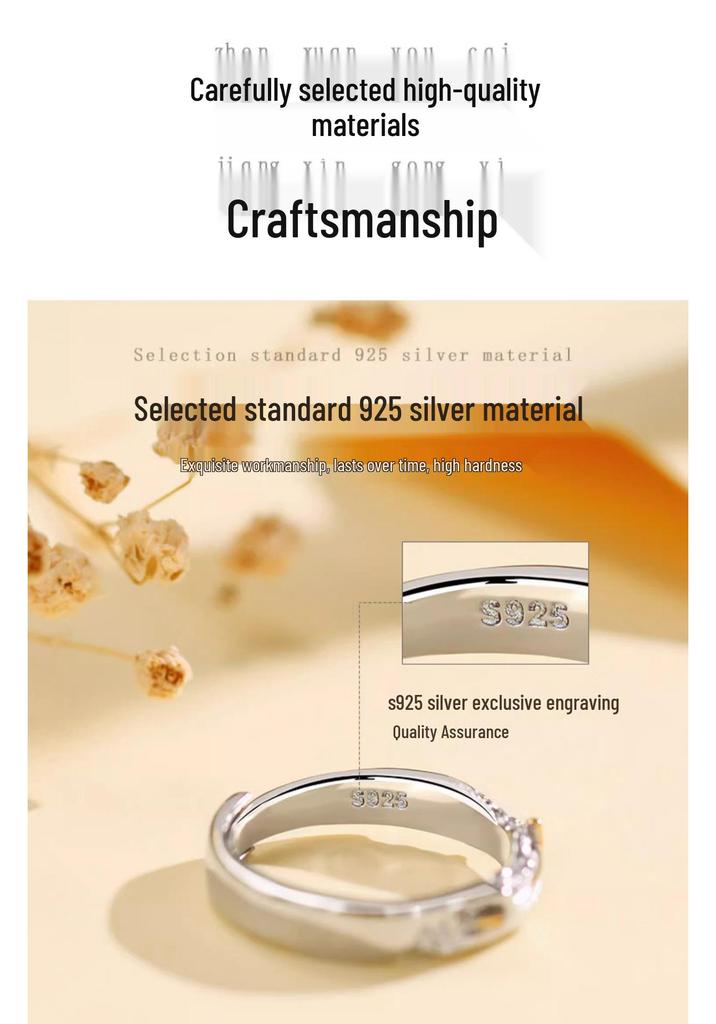 Princess and Knight S925 Sterling Silver Commemorative Couple Rings for Men and Women - Fashionable Qixi Festival Gift