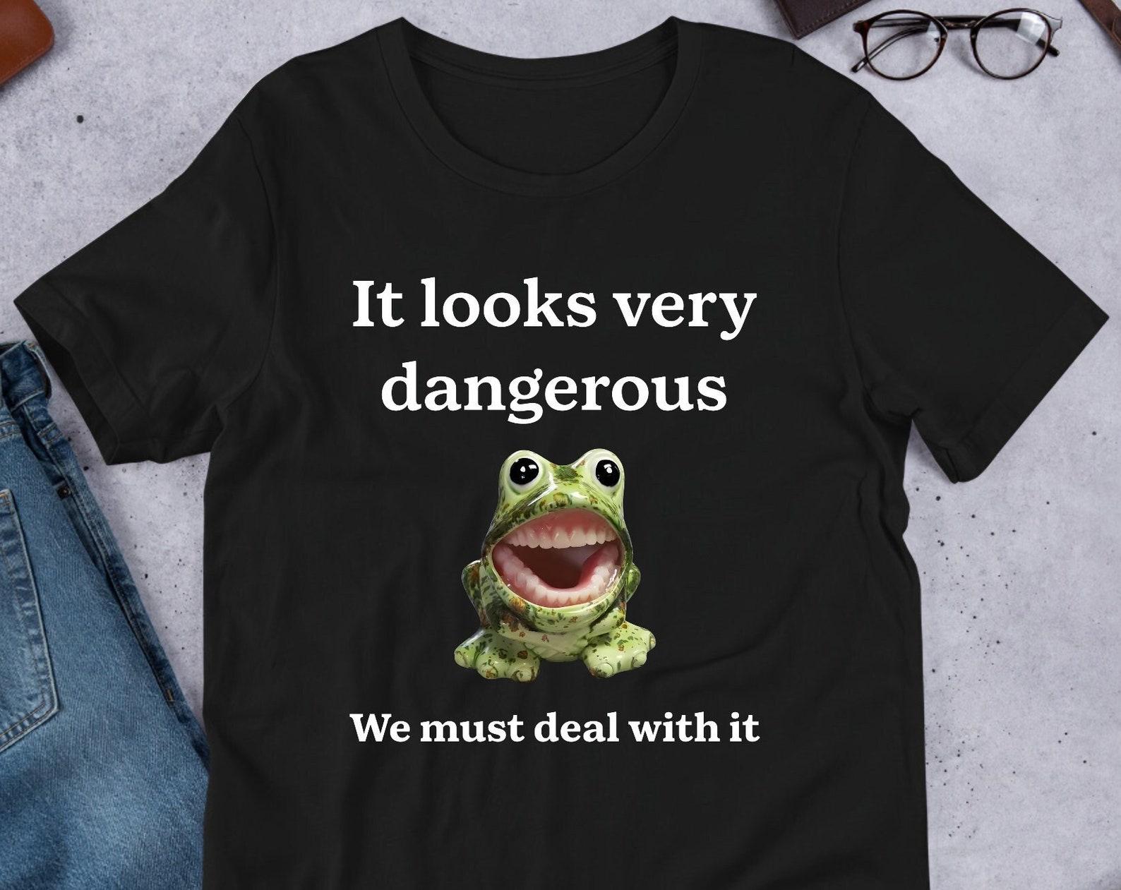 It Looks Very Dangerous Frog Meme, Funny Frog Meme Shirt, Ironic Shirt, Weirdcore Clothing, Oddly Specific, Unhinged, Cursed, Frog Lover 3XL
