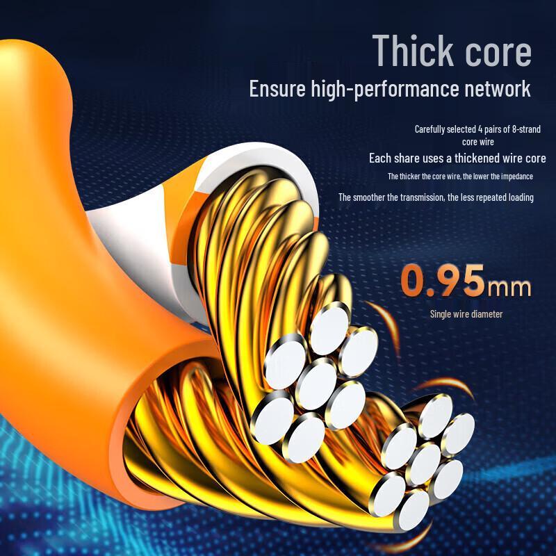Shengwei CAT6 Gigabit Ethernet Cable