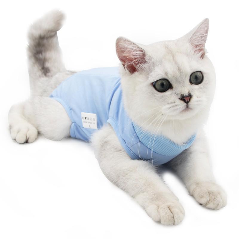 Autumn Cat Post-Surgery Anti-Lick Suit: Anti-Infection, Anti-Bacterial, High Elasticity, Comfortable Pet Wear