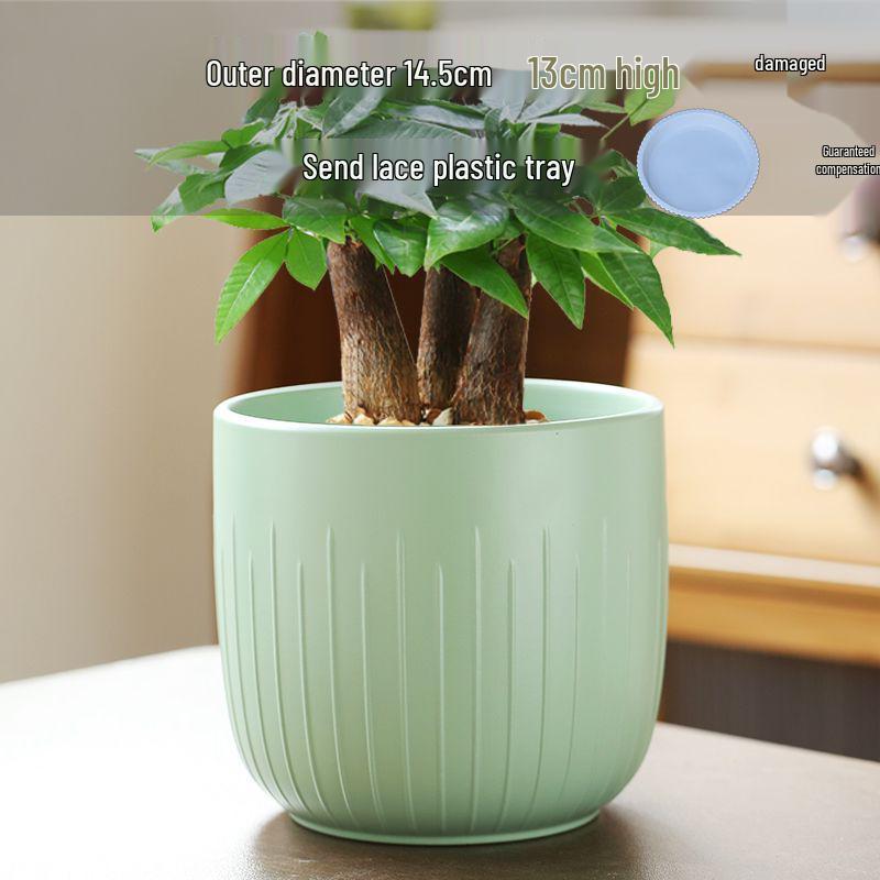 Nordic Style White Ceramic Succulent Pot with Four Compartments