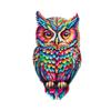 City Souvenir Owl Fridge Magnet - Creative Home Decoration Gift