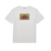 Men's Cotton Crew Neck T-Shirt