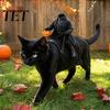 Pohodlný kostýmový doplněk pro mazlíčky Bezhlavý jezdec Kočičí kostým, Halloween 3D Vtipný jezdecký outfit s dýní Roztomilé psí oblečení na párty lucernu,
