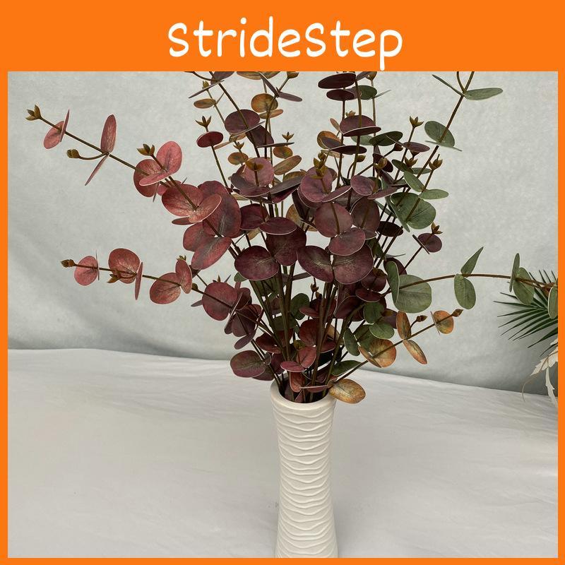Leaf Eucalyptus Money Stems For Indoor Outdoor Wedding Gift Decoration