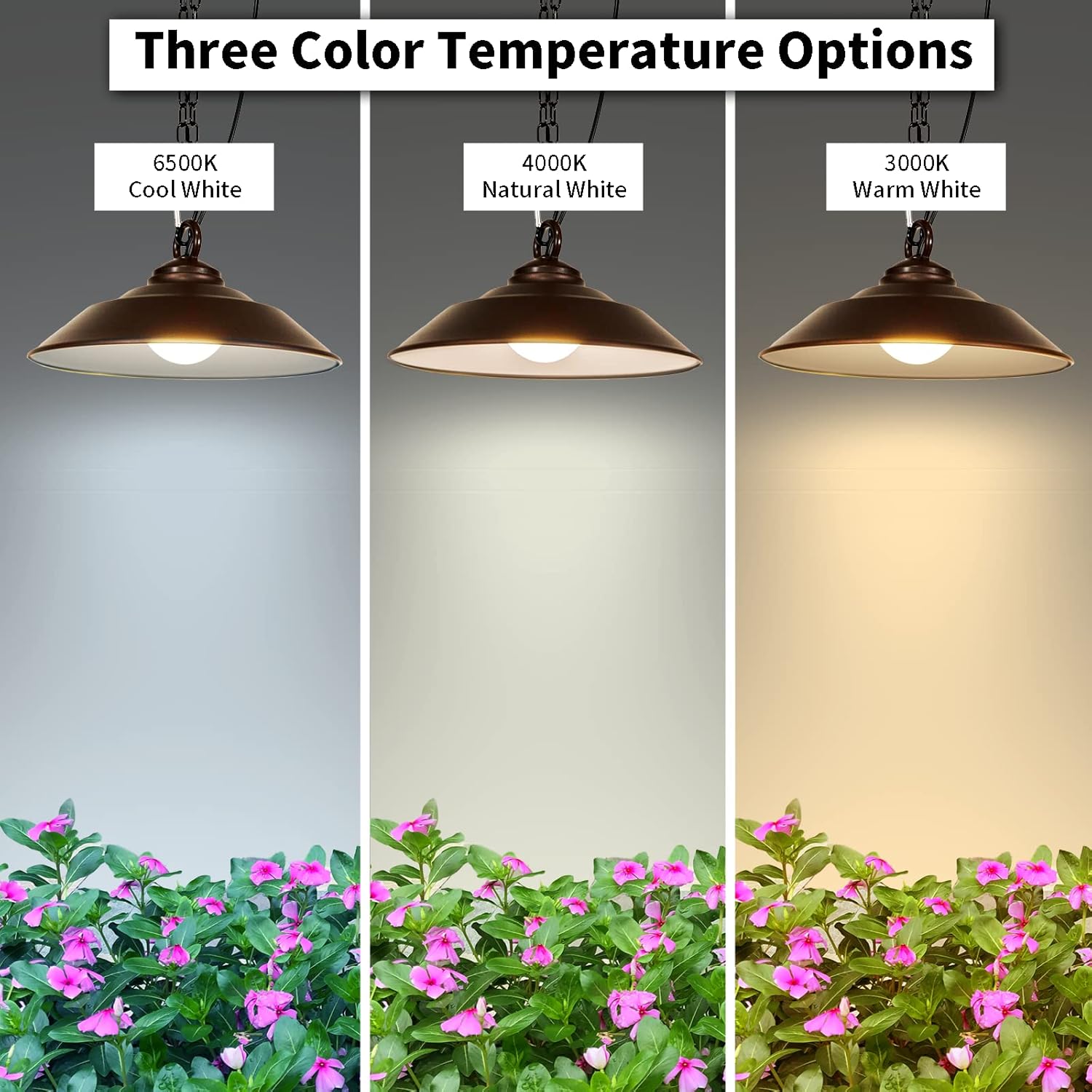 

Solar Pendant Light with Remote, 300LM Dusk to Dawn, 3 Color Temps, Waterproof Outdoor Hanging Light for Patio, Porch, Shed United States
