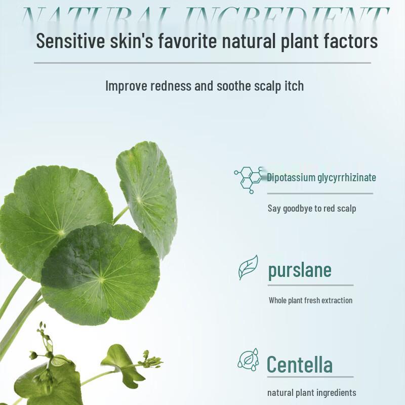 CHANDO Sensitive Scalp Purifying Essence Hair Conditioner 550ml