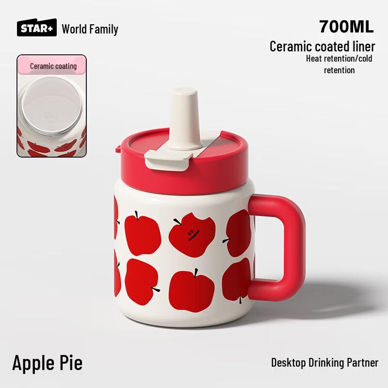 Ceramic Lined Insulated Thermos