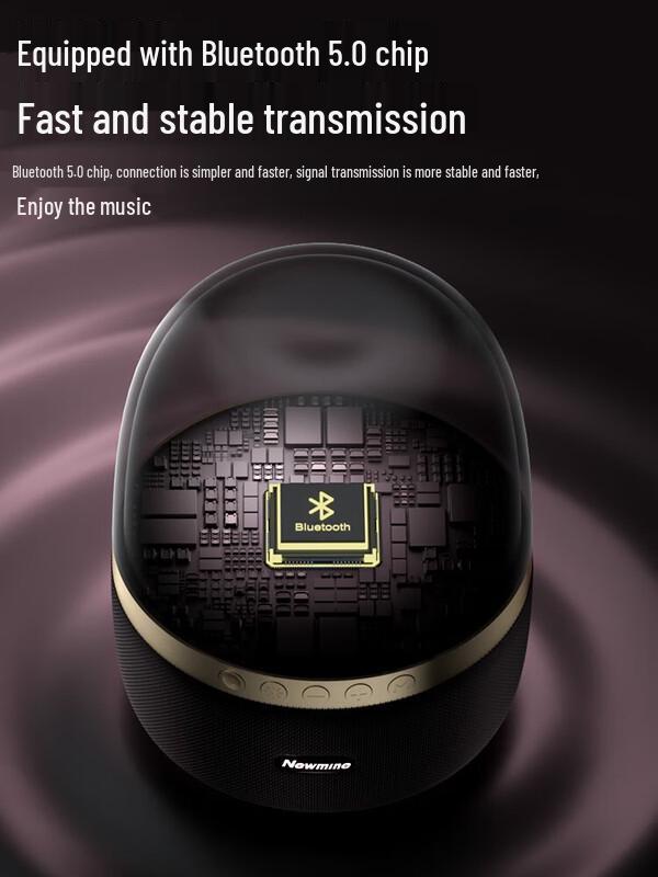 Newmine BT512 Bluetooth Desktop Speaker