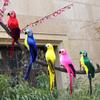 1PC 6 Colors 25cm 35cm Simulation Parrots Birds Artificial Parrots Birds White Parrots Garden Decoration