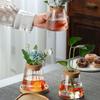 3PCS Small Size Hydroponic Plants Vase Decorative Water Cultivation Vase  Garden Accessories