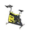 WenZhiWu Fitness Spinning Bike